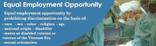 Equal Opportunity Graphic