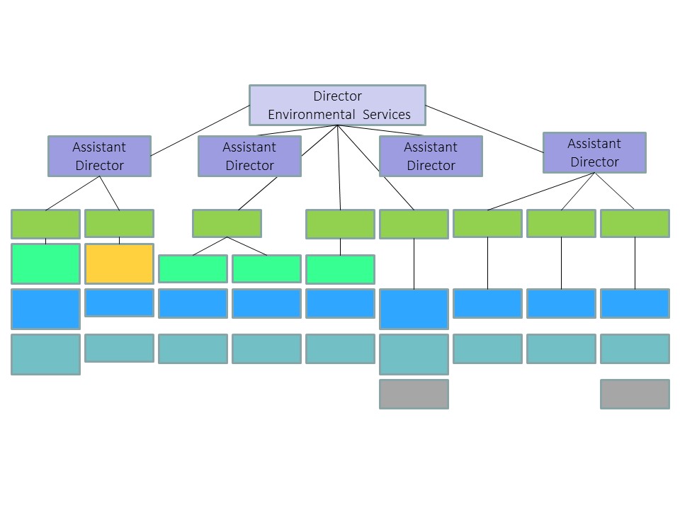 Suny Organizational Chart