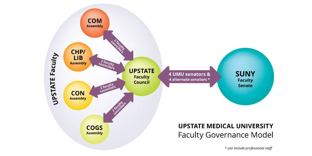 Faculty governance model