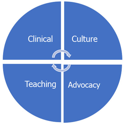 Pie graph with Clinical, Culture, advocacy, and Teaching
