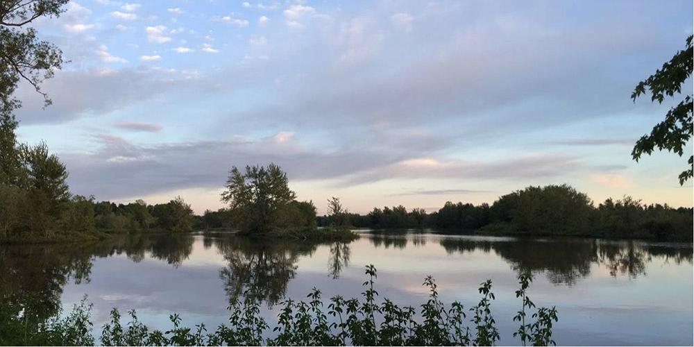 Rural landscape at dusk.