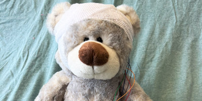 Beary preps for EEG