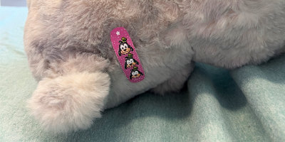 Lumbar Puncture with Beary