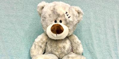 Beary gets sutures