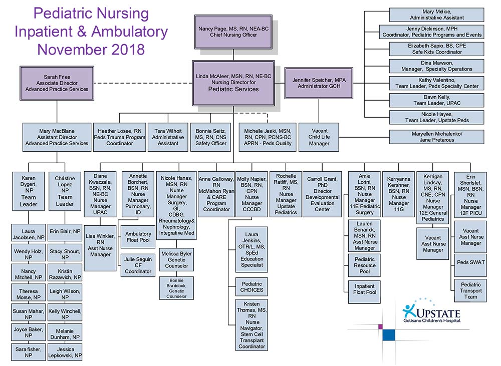 Suny Organizational Chart