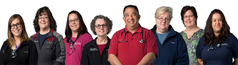 critical care transport team