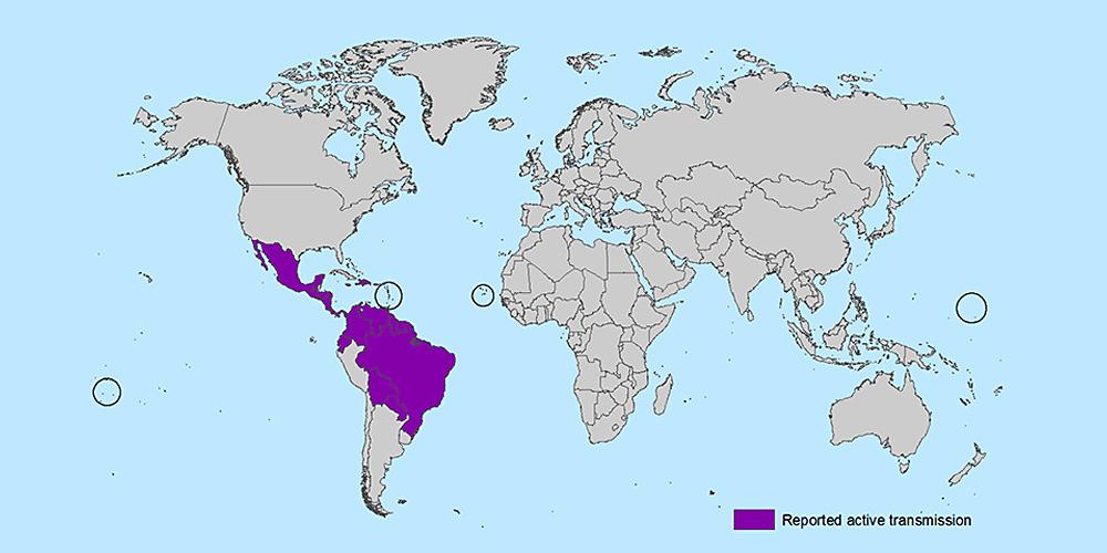 worldwide distribution of zika virus