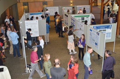 Biomedical Sciences students and guests discussing poster submissions
