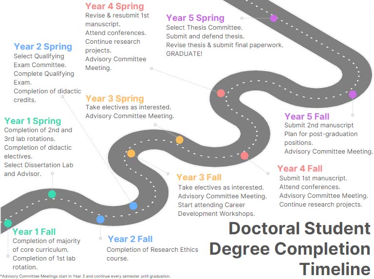 Doctoral Student Timeline