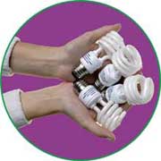 lightbulbs
