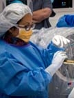 Zulma Tovar-Spinoza, MD