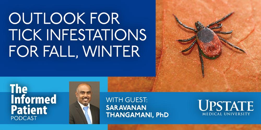 Outlook for tick infestations for fall, winter