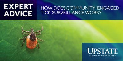 Expert Advice: How does community-engaged tick surveillance work?