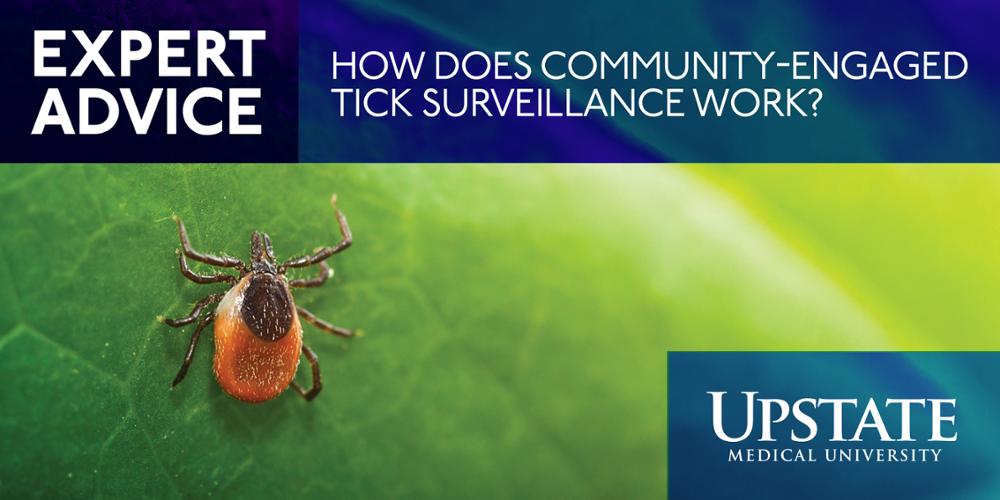 expert Advice: How does community-engaged tick surveillance work?