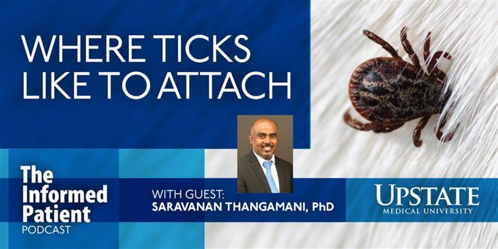 Where ticks like to attach, with guest Saravanan Thangamani, PhD, on Upstate's The Informed Patient podcast