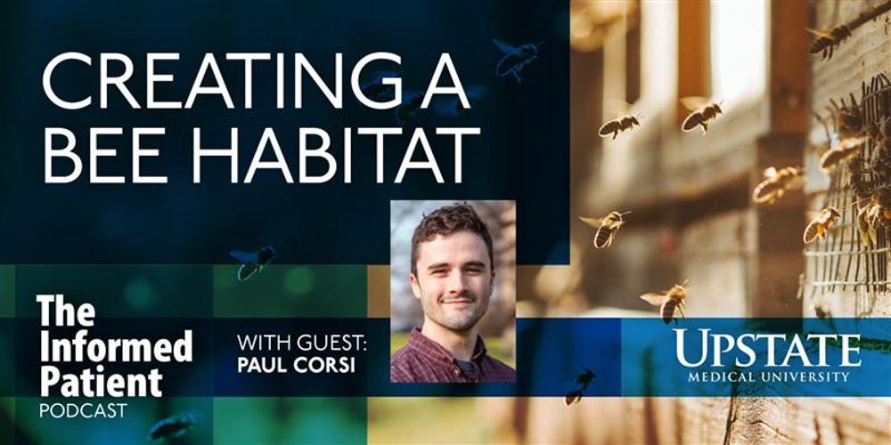 Creating a bee habitat, with guest Paul Corsi, on Upstate's HealthLink on Air radio show