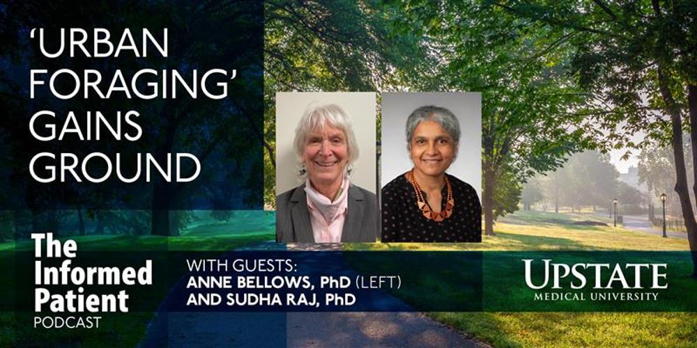 'Urban foraging' gain ground, with guests Anne Bellows, PhD (left), and Sudha Raj,  on Upstate's The Informed Patient podcastPhD,