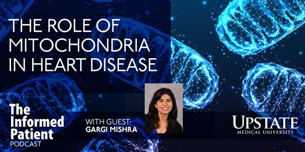 The role of mitochondria in heart disease, with guest Gargi Mishra, on Upstate's The Informed Patient podcast