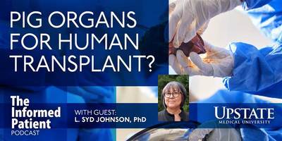 Transplanting animal organs to humans raises questions, hopes