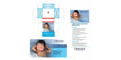 Example of a family of branded materials: package design, website graphics and a single-panel brochure.