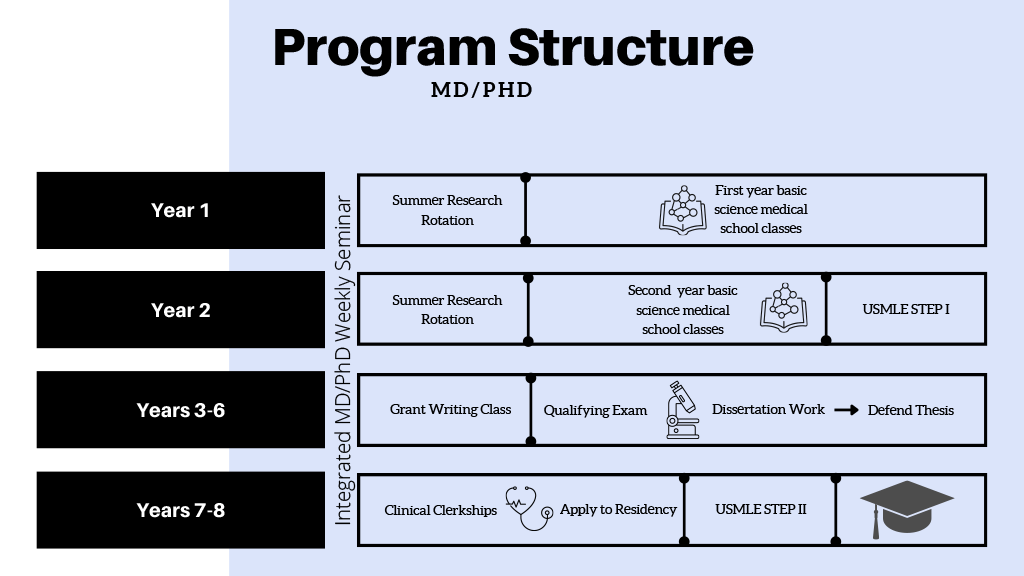 MD/PhD Program Structure
