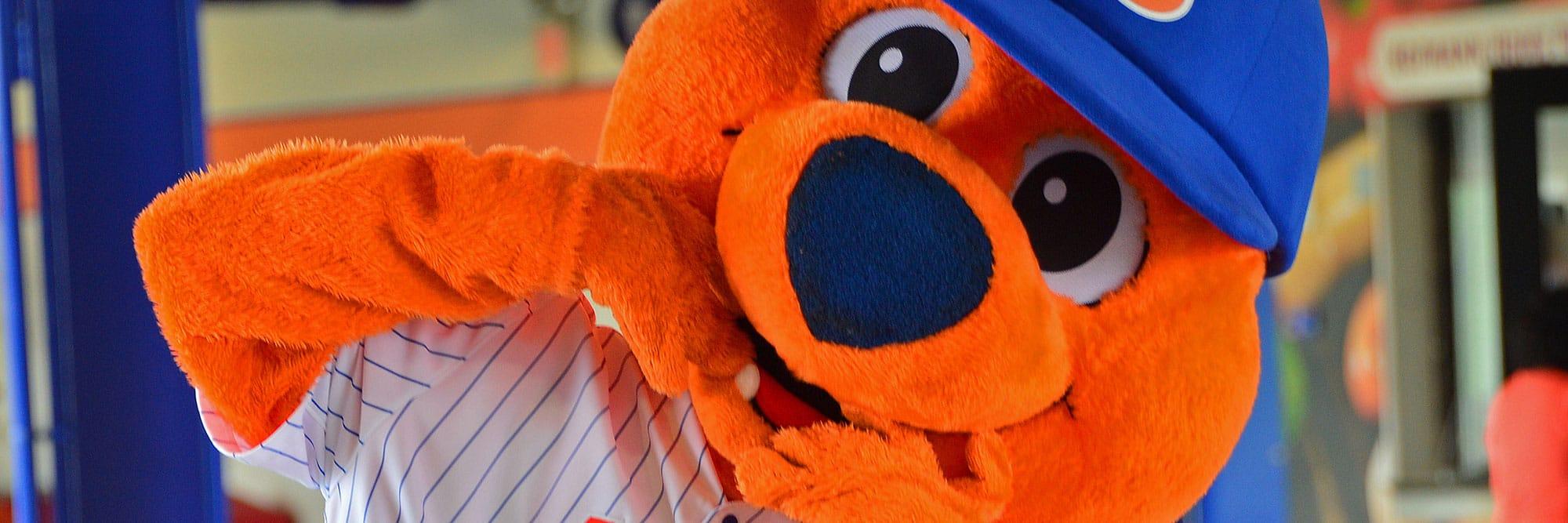 National Cancer Survivors Day Celebration with the Syracuse Mets