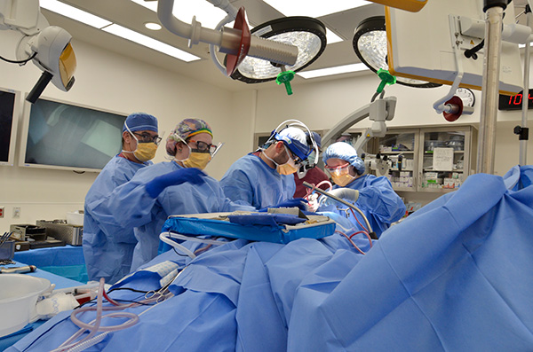 Dr. Gould and other surgeons preforming surgery 