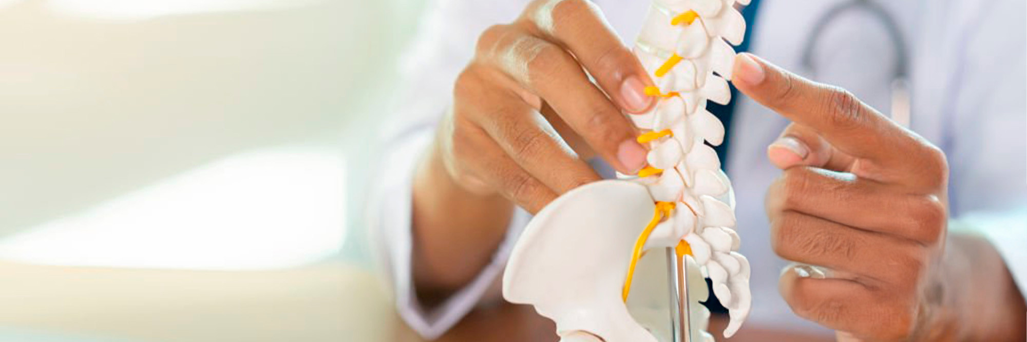 Healthcare Provider pointing to spine model