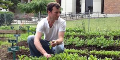 Parsley, sage, rosemary and thyme: It's what's growing at Upstate Medical's Community Garden