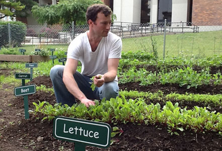Parsley, sage, rosemary and thyme: It's what's growing at Upstate Medical's Community Garden