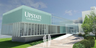 Upstate breaks ground for umbilical cord blood bank