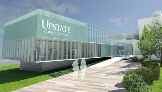 Upstate breaks ground for umbilical cord blood bank