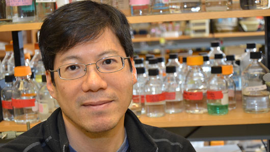 Upstate/ESF bioethanol project receives Technology Accelerator Fund award