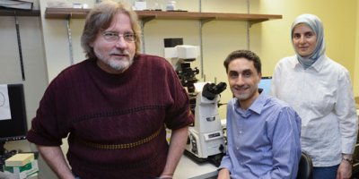 SUNY researchers learn how gene mutation causes blindness