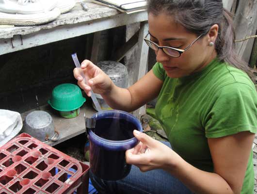 Research findings will help in the fight against dengue, one of the fastest spreading tropical diseases