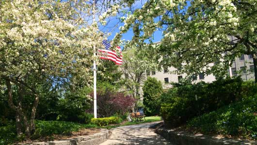 Tree-lined campus