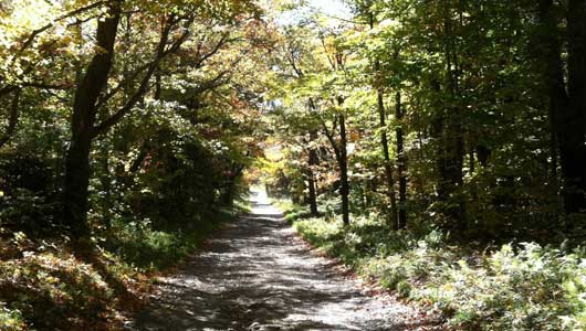 Study looks at interactions between rural setting and the clinical experiences of students