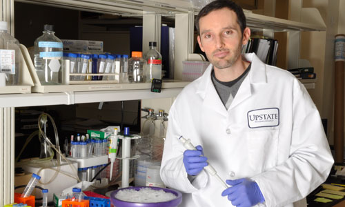 Cancer survivor develops career in cancer research at Upstate