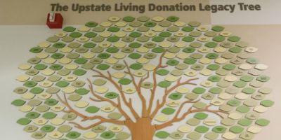 Living Donation Legacy Tree helps celebrate life and raises awareness of organ donation