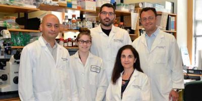 Upstate researchers find key cellular enzyme could be effective drug target in urologic cancer cells