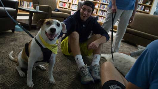 Therapy Thursdays with Willis