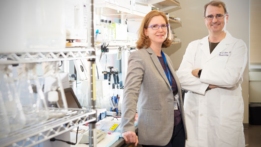 Upstate discovery advances understanding of how retinal cells are formed