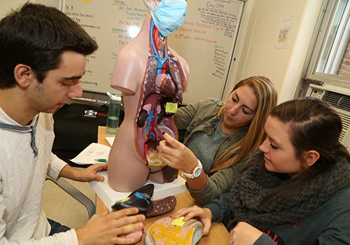 Upstate partners with OCM BOCES to bring area high school students to campus