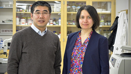 Two from Upstate awarded grants to further breast cancer research