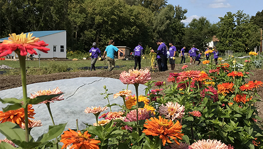 More than 155 Upstate Medical University students, employees and volunteers participated in Upstate's Day of Service and Remembrance outreach activities Sept. 10.