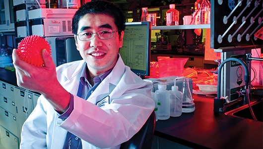 Scientists further understanding of delivering drugs through nanocarriers