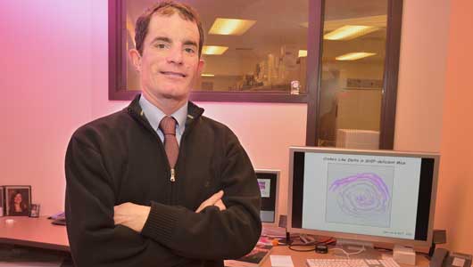 Upstate discovery advances understanding of inflammatory bowel disease