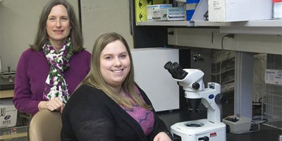 Upstate, ESF reseachers use synthetic protein to disrupt work of bacteria
