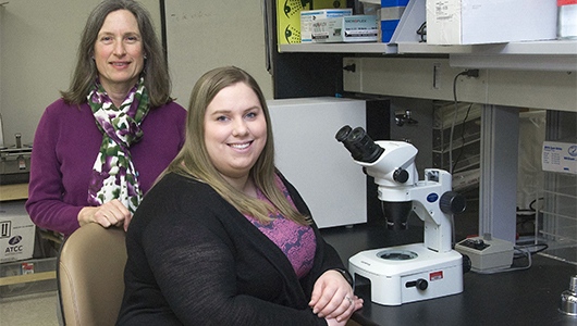 Upstate, ESF reseachers use synthetic protein to disrupt work of bacteria