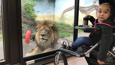 CANCER SURVIVORS DAY AT ROSAMUND GIFFORD ZOO IS A ROARING SUCCESS.
